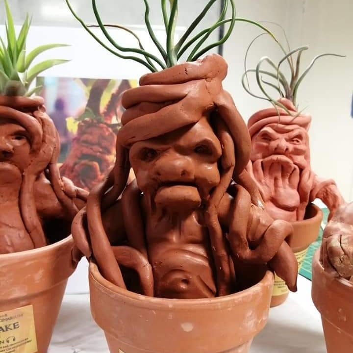 atelier mandragore en argile naturelle dans son pot