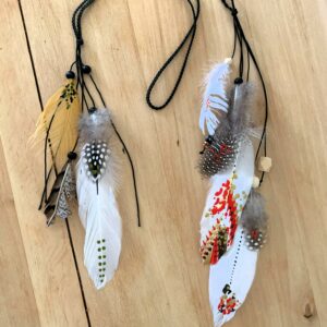 Amérique peinture sur plumes